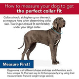 Retriever 06927-Q-ASZ26 Adjustable Aztec Stripes Dog Collar, 1 x 18-26 in.