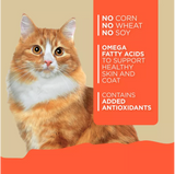 4health Wholesome Grains Adult Turkey & Salmon Recipe Wet Cat Food, 5.5oz. 1 Can