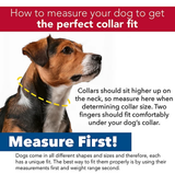 Retriever 36912 Q PKF20 Reflective Stitch Dog Collar, 1 x 18-26 in. Orange