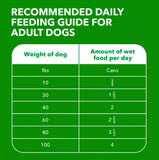 Iams Proactive Health Adult Lamb and Rice Pate Wet Dog Food, 13 oz. - 6 Cans