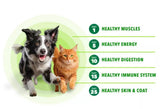 Iams 10151268 Proactive Health Adult Chicken and Rice Pate Wet Dog Food 6 Cans