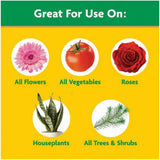 Miracle-Gro 1001193 Indoor & Outdoor Water Soluble All-Purpose Plant Food 10 lb.