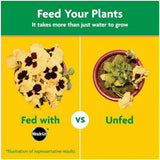 Miracle-Gro 1001193 Indoor & Outdoor Water Soluble All-Purpose Plant Food 10 lb.