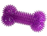 Retriever Gnawsome 10063 6.5 in. Spikey Squeaker Bone Medium Dog Toy - ASSORTED