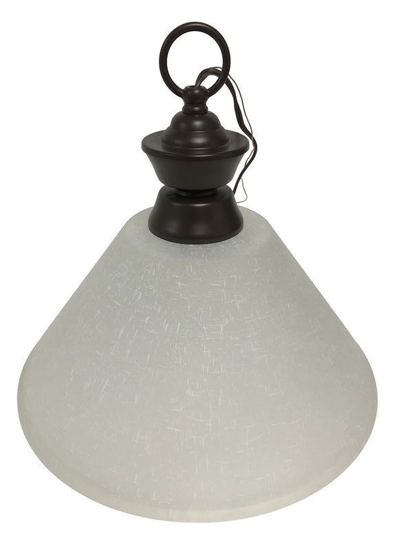 Z-Lite 100701BRZ Pendant Light