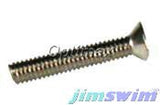 Pentair 619355Z Stainless Steel Pilot Screw with Washer