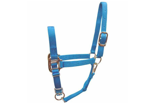 DuMOR 1224643 Premium Foal/Miniature Aqua-Colored Halter for Horses 800-1100lb.