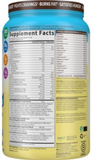 Raw Organic Fit - High Protein for Weight Loss - Chocolate (2 lb./20 Servings)