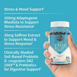 Herbals Stress Relief Gummies - Supports Mood & Stress, Berry Flavor, 60 Gummies