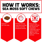 Sea Moss Chews - Daily Health & Antioxidant Support - Salted Caramel (30 Chews)