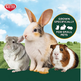 Kaytee 100036892 - Timothy Hay 96 oz., Grown Specifically for Small Animals.