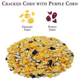 DuMOR 15358 Cracked Corn with Purple Corn Chicken Poultry Feed Supplement, 10 lb