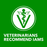 Iams Proactive Health Adult Lamb and Rice Pate Wet Dog Food, 13 oz. - 6 Cans