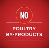 Purina ONE Adult Chicken/Beef Classic Ground Wet Dog Food Variety 13 oz/6 Cans