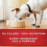 Purina ONE Adult Chicken/Beef Classic Ground Wet Dog Food Variety 13 oz/6 Cans