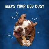 Busy Bone 38100175700 Chewnola Dog Treats, Oat, Brown Rice 10 ct.