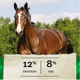 Nutrena 1134 - 12-8 Horse Feed Pellet, Molasses, 50 lb.