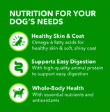 Iams Proactive Health Adult Lamb and Rice Pate Wet Dog Food, 13 oz. - 6 Cans