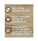 4health w/ Wholesome Grains Adult Chicken & Rice, 1 Can Wet Dog Food, 13.2 oz.