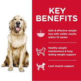Hill's Pet Nutrition Science Diet Adult Perfect Weight Dog Food, 12LB