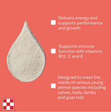 Purina 3007787-145 Multi Species Milk Replacer, 8 lb Pouch