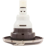 Waterway 229-2649-DSGS Jet Intl, Power Storm,Twin Roto,Reverse Swirl, SS/Dk Gry