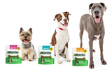 Minties Dental Bone Large, Help to clean Teeth and Fresh Breath Dog Treats, 32oz