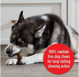 Milk-Bone Flavor Rolls Chicken Doodle Dandy 100% Rawhide Free Dog Treats, 5 ct.