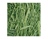DuMOR 42929 Small Animal All-Natural Timothy Hay for Adult-aged Small Pets, 24 oz.