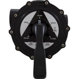 Astral Products 28225 Multiport Valve, Astral, 2" Side-Mount, 6 Position
