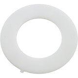 Pentair 14971-SM10E3 Stainless Steel Washer