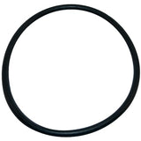 Aladdin O218 O Ring for Sta-Rite Dura Glas