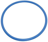 Pentair U9229Z 2-435 Oring