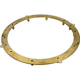 Pentair 634595 Standard 10-Hole Vinyl Back-Up Ring for Pool/Spa Light Niches