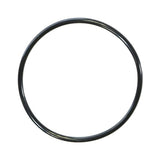 Pentair 590118Z Colorvision O-Ring Kit