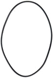 Hayward SPX1705Z1 Housing O-Ring Gasket for SP1700 PowerFlo II Pool Pump