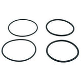 Raypak 006724F O-Ring Kit for 2" PVC Connector