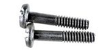 Hayward WGX1030Z2AM Cover Screw with Metal Inserts - Set of 2