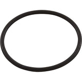 Astral Products 773059035 Buna-N Astramax Pump Strainer Union O-Ring