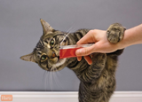 Delectables Tuna and Chicken & Vegetables Squeeze Ups Variety Cat Treats, 10 oz.