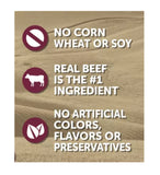 4health w/ Wholesome Grains Beef and Rice Wet Dog Food, 1 Can - 13.2 oz.