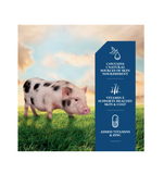 DuMOR 1030252 Mini Pig Skin and Coat Powdered Supplement, 1 lb.
