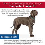Retriever 15422 Q AQB18 Adjustable Soft Dog Collar, Aqua/Black, 1 x 18-26in.