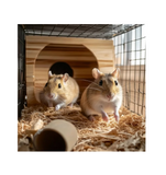 DuMOR 1030066 Small Animal Advanced Diet Hamster/Gerbil Food, 2 lb. Bag