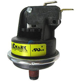 Pentair 42001-0060S Water Pressure Switch