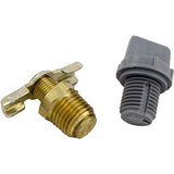 Raypak 006721F Drain Plug