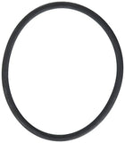 Waterway 8050383 O-Ring for Sand filter