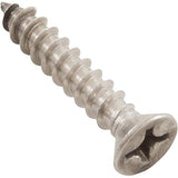 Waterco  00B1029 Screw, Baker Hydro Purex Skimmer, Face Frame