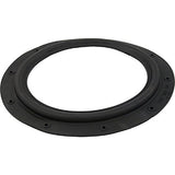 Hayward ECX1039 Perflex EC30 Diaphragm Gasket