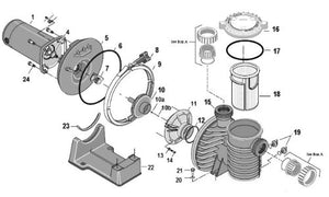 Aladdin O240 Pump Seal Plate O-Ring